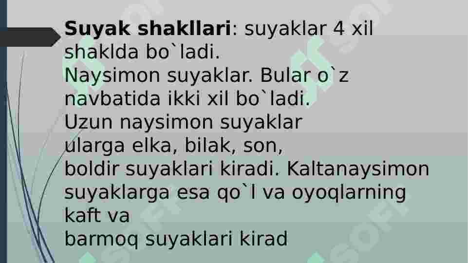 Suyak shakllari