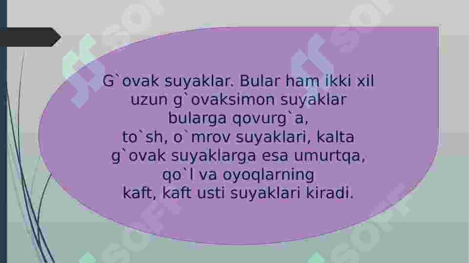 Suyak shakllari