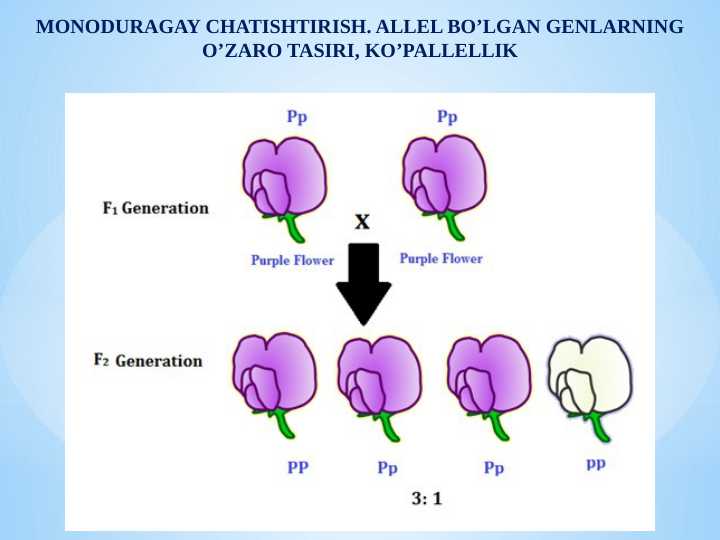 MONODURAGAY CHATISHTIRISH. ALLEL BO’LGAN GENLARNING O’ZARO TASIRI, KO’PALLELLIK