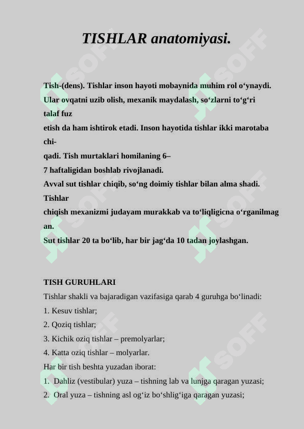 tishlar-anatomiyasi