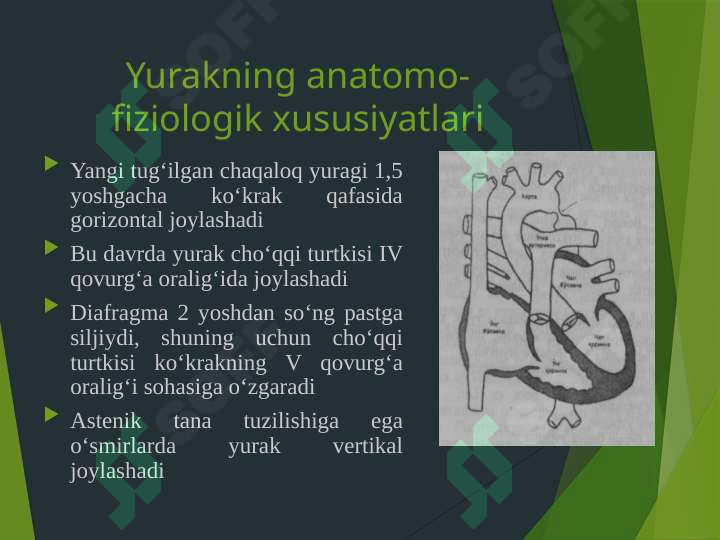 BOLALARDA YURAK-QON TOMIR TIZIMINING ANATOMO-FIZIOLOGIK XUSUSIYATLARI