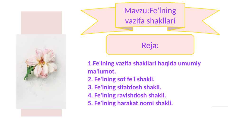 Fe'lning vazifa shakllari