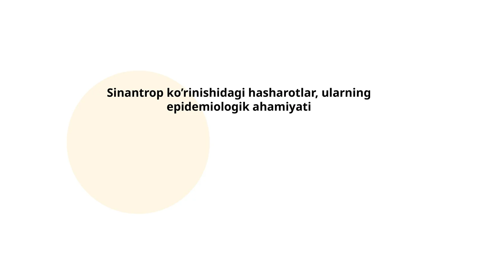 Sinantrop hasharotlar