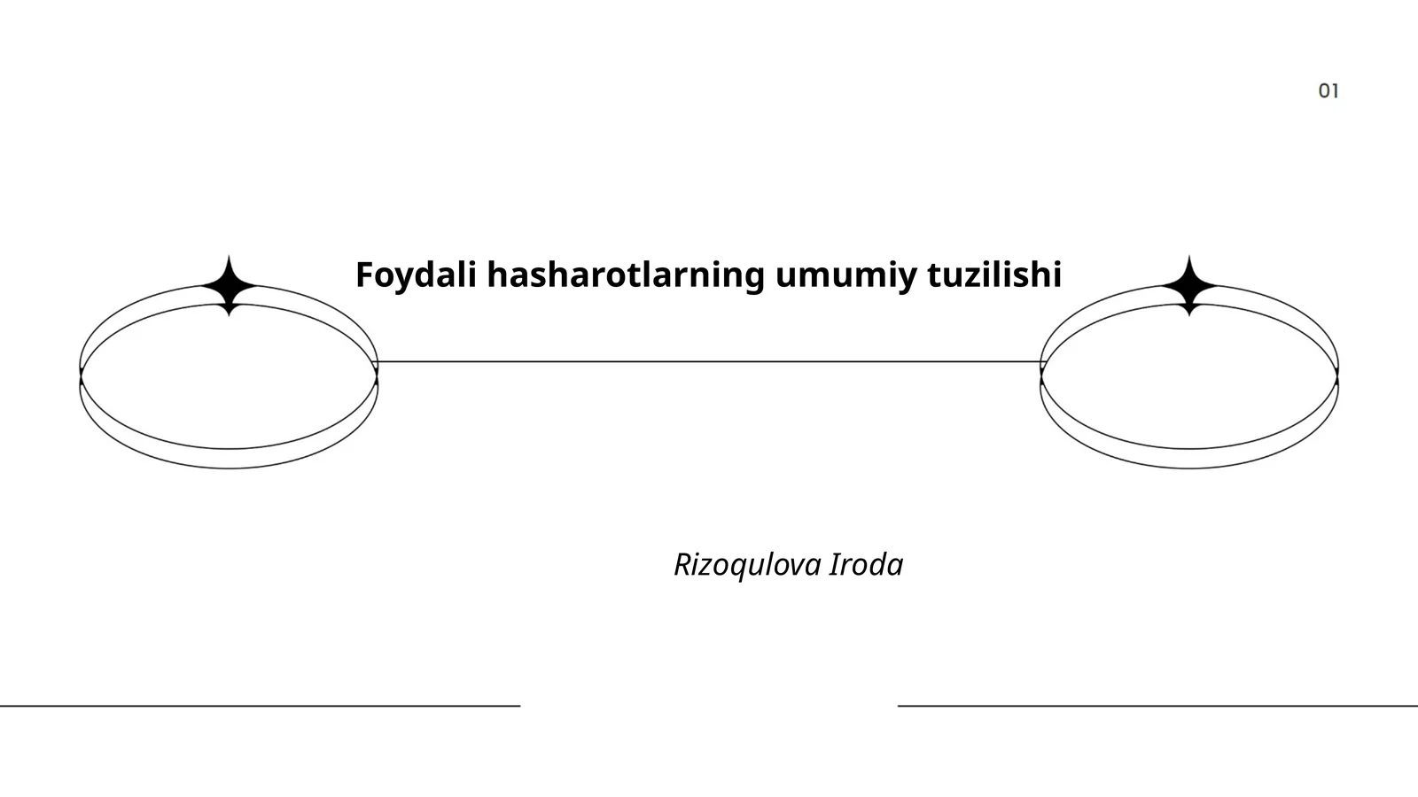 Foydali hasharotlarning umumiy tuzilishi