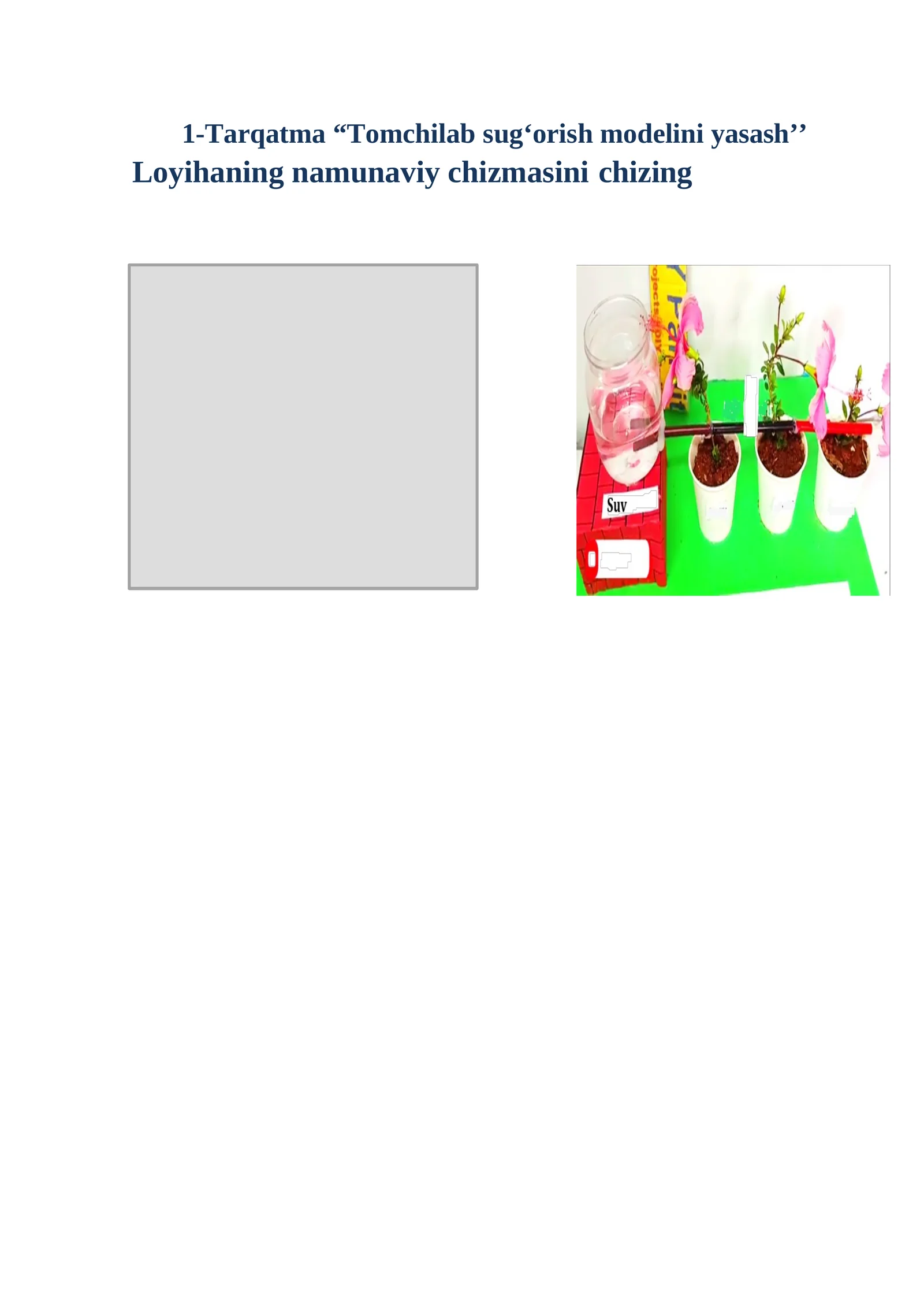 Tarqatma “Tomchilab sug‘orish modelini yasash’’