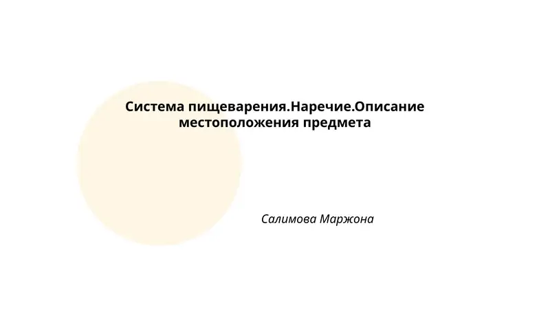 Система пищеварения.Наречие.Описание местоположения предмета