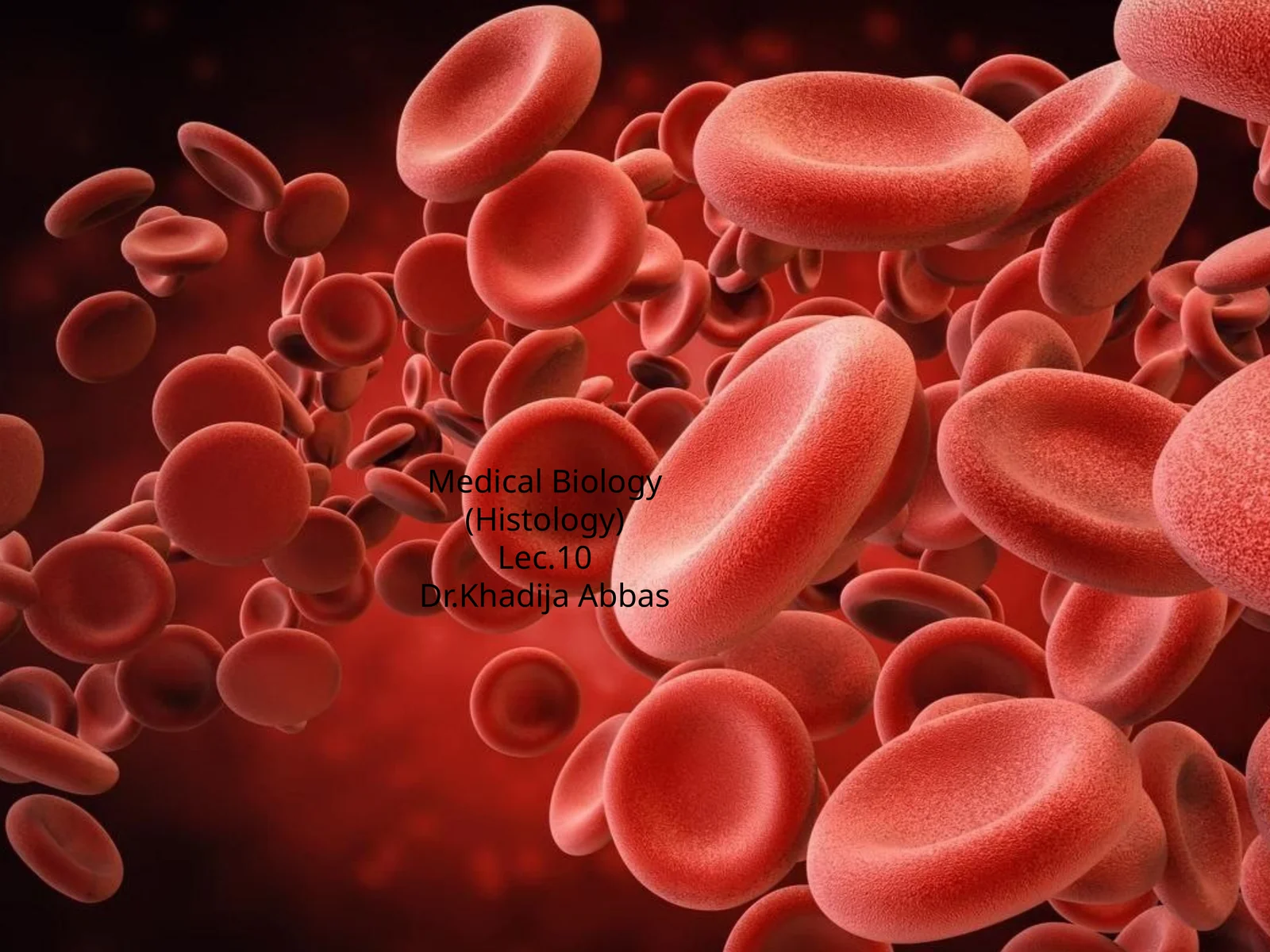 Histology Lecture 10