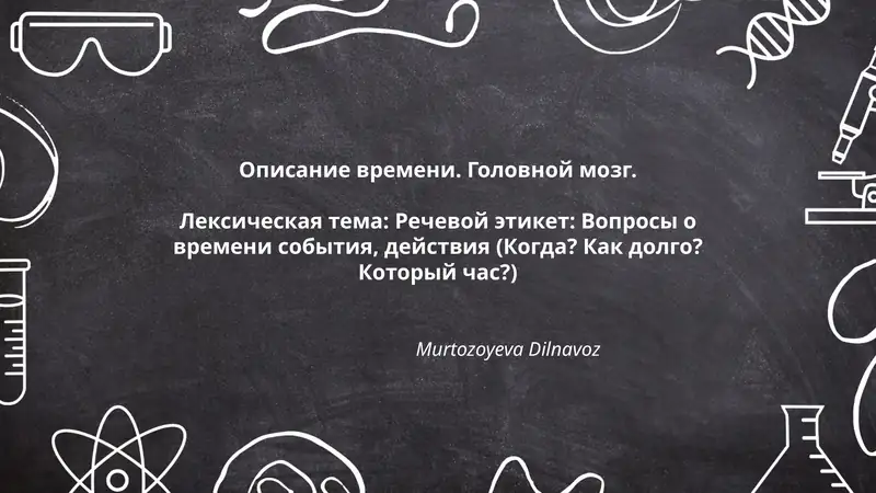 Описание времени. Головной мозг