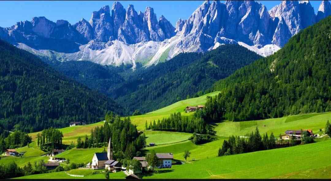 Shoxrux To‘ychiyev