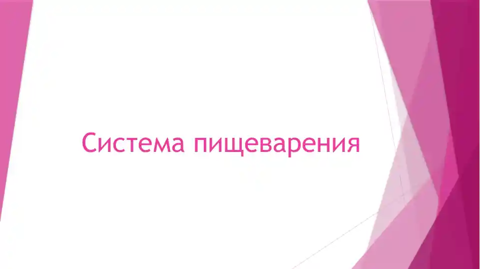 Система пищеварения