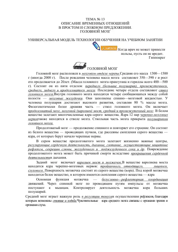 Головной мозг