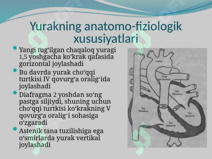 Yurak Ritm BOLALARDA YURAK-QON TOMIR TIZIMINING ANATOMO-FIZIOLOGIK XUSUSIYATLARI