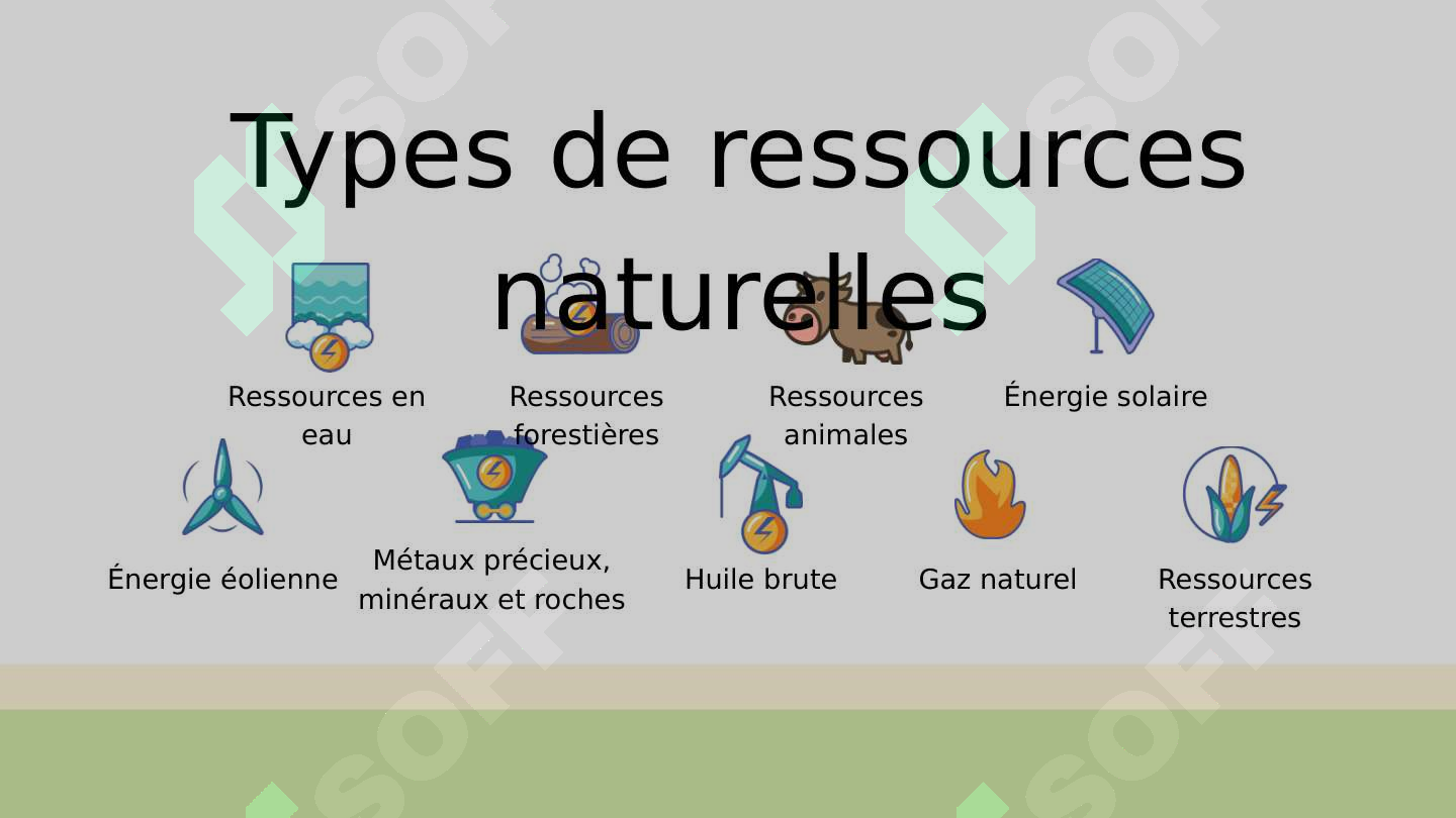 La Ressource RESSOURCES NATURELLES