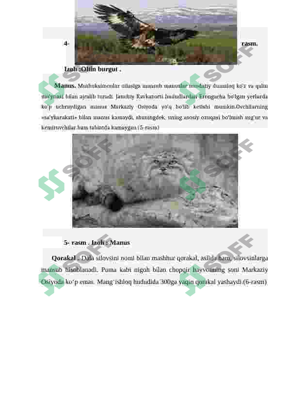 YO QOLIB BORAYOTGAN HAYVONLAR VA ULARNING MUHOFAZASI yo-qolib-borayotgan-hayvonlar-va-ularning-muhofazasi