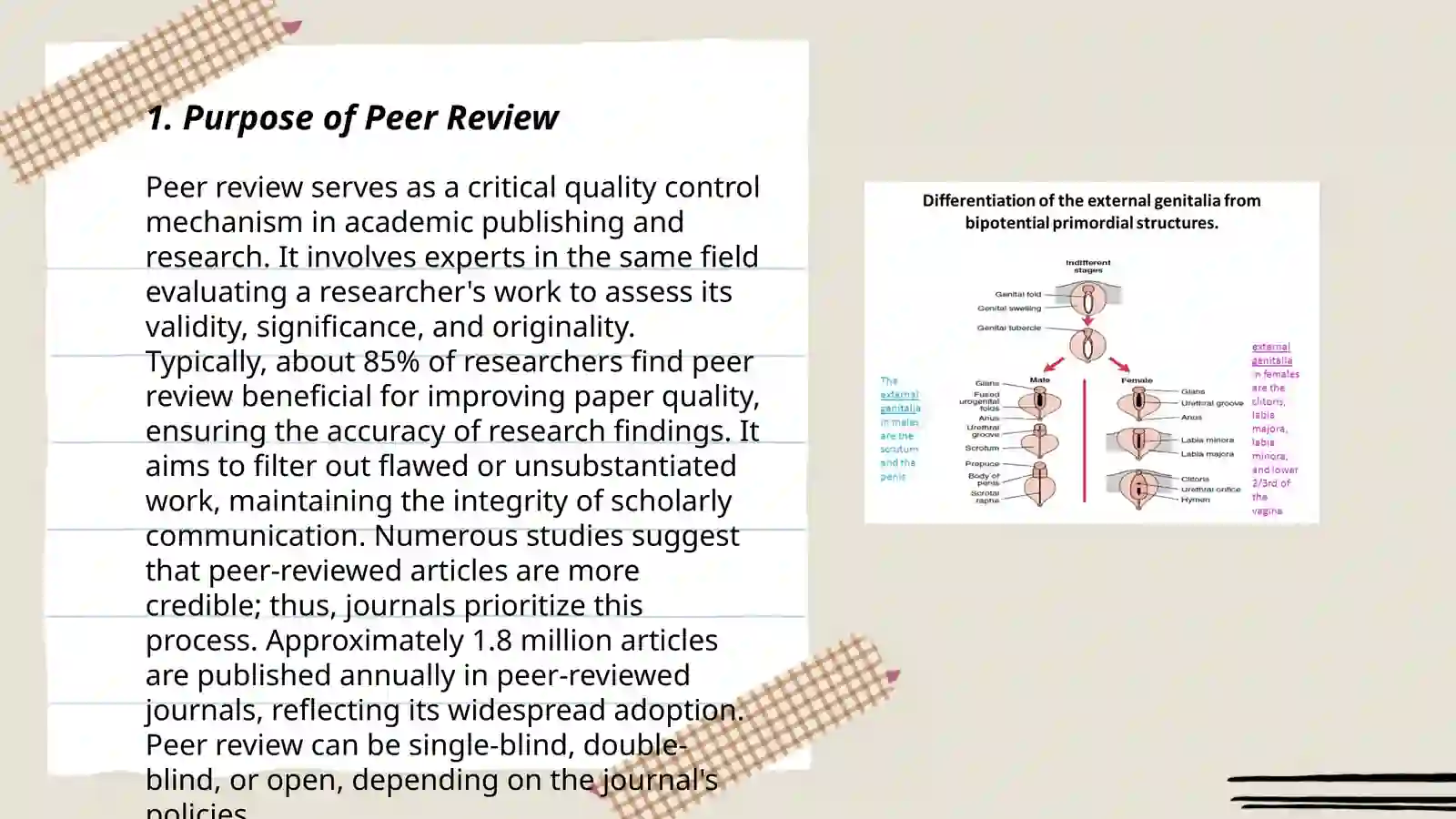 Peer Rivision Peer Review and Revision